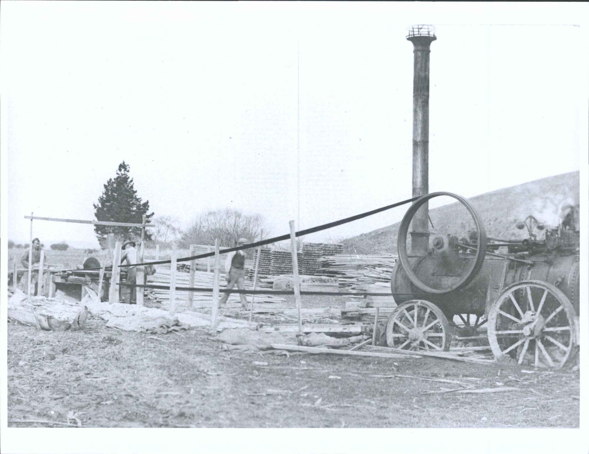 Alex Whalan's Portable Engine Sawing Timber at Coutts Gully