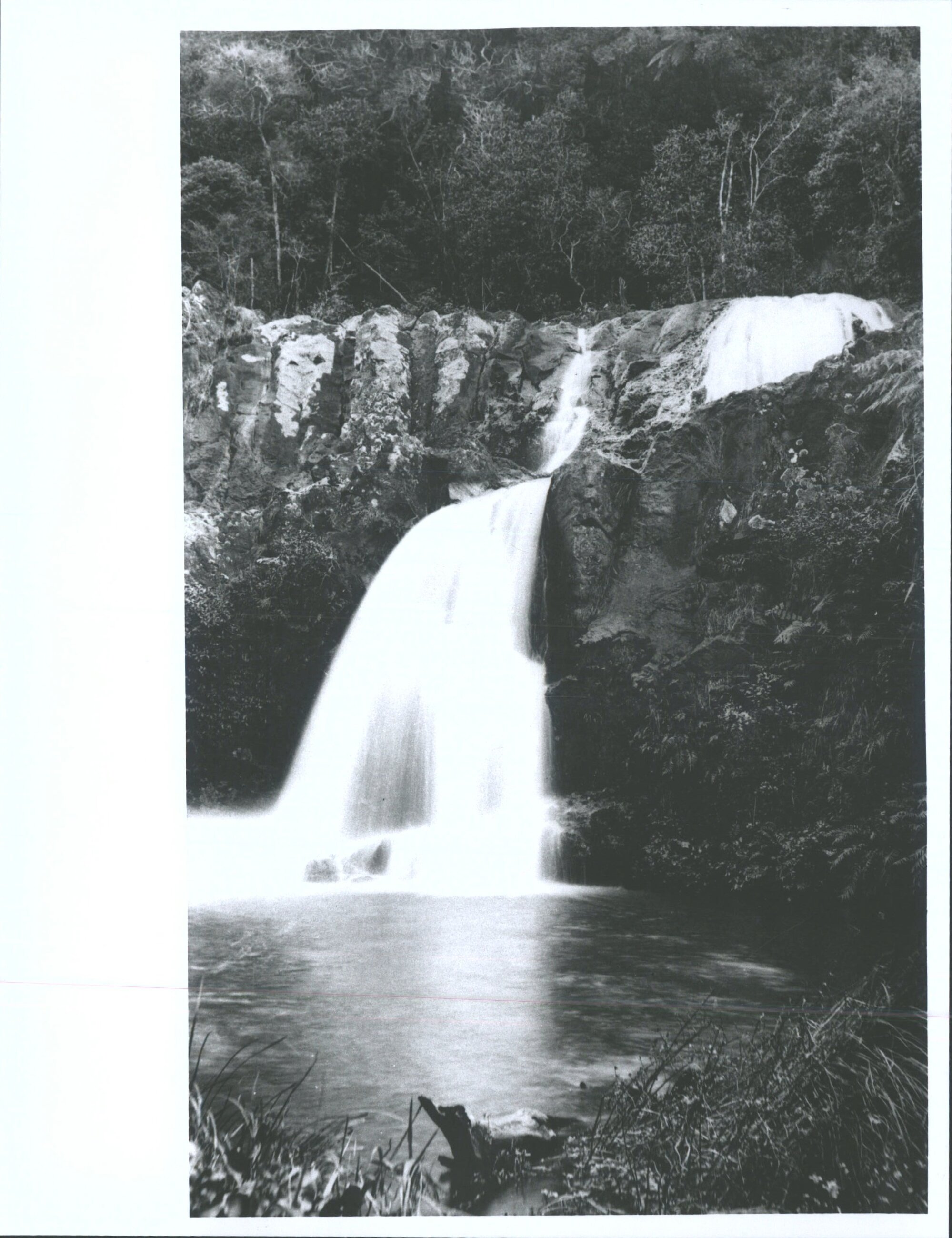 Manu Falls, Near Whangarei, NZ