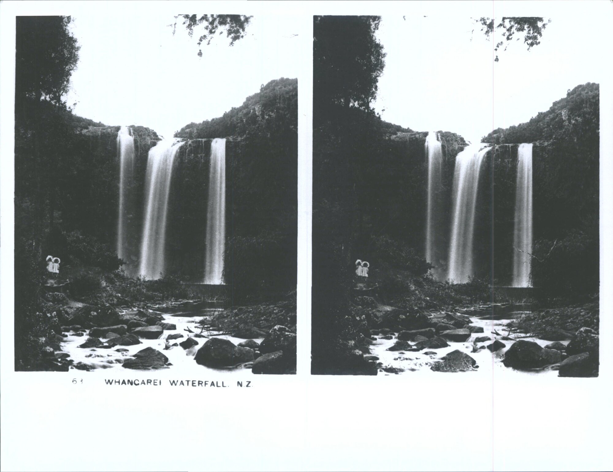 Whangarei Waterfall, N.Z.