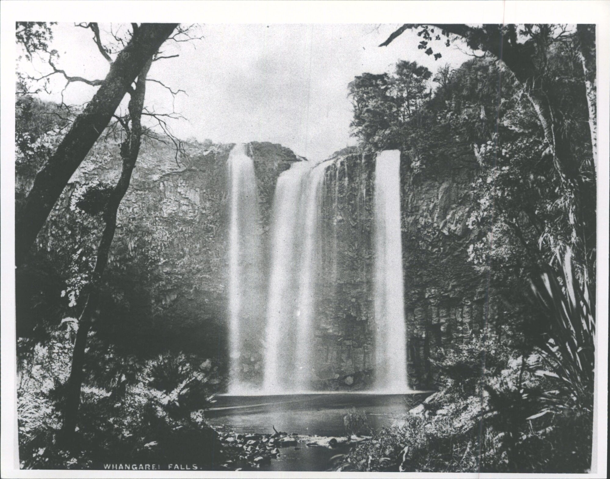 Whangarei Falls