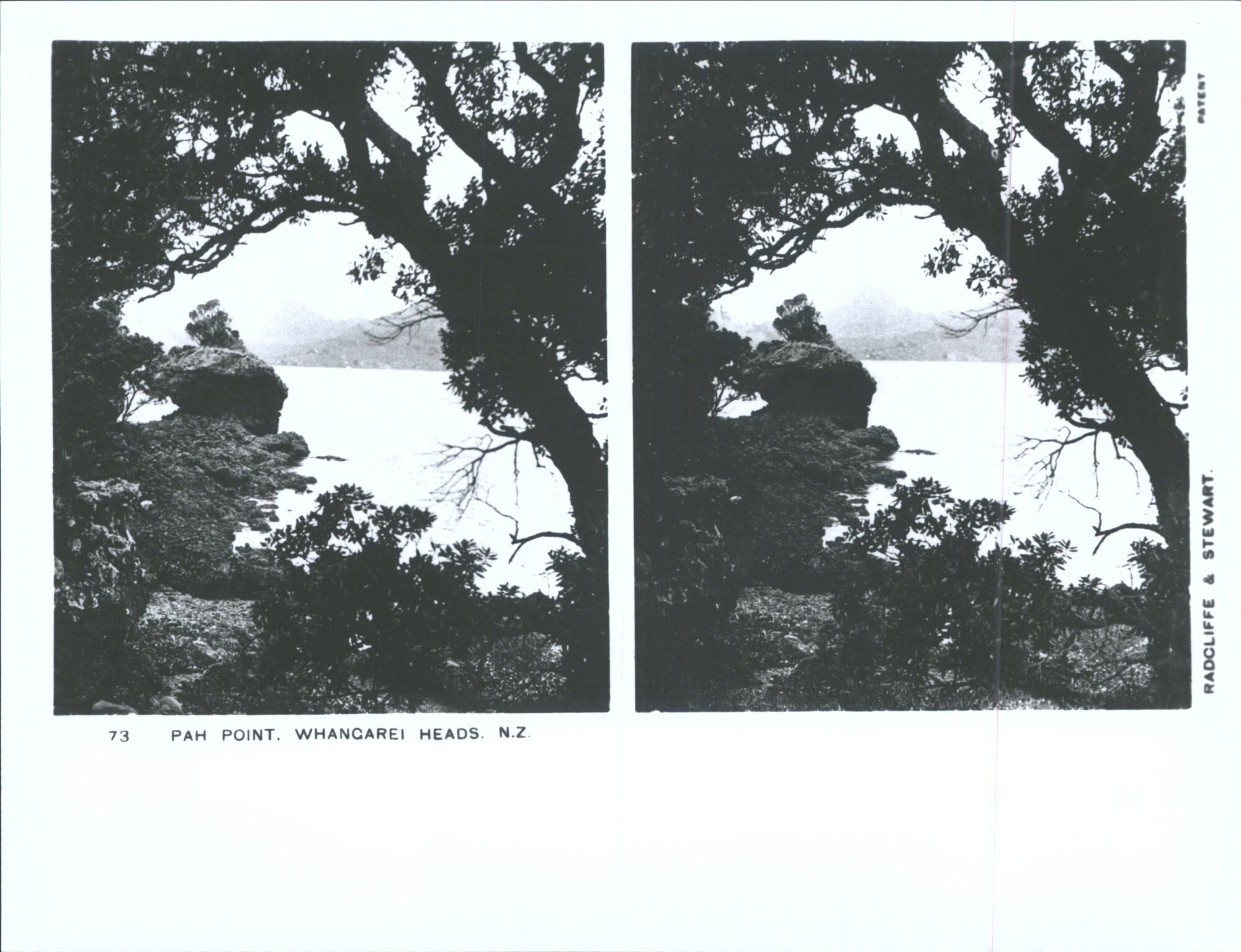 Pah Point, Whangarei Heads, N.Z.