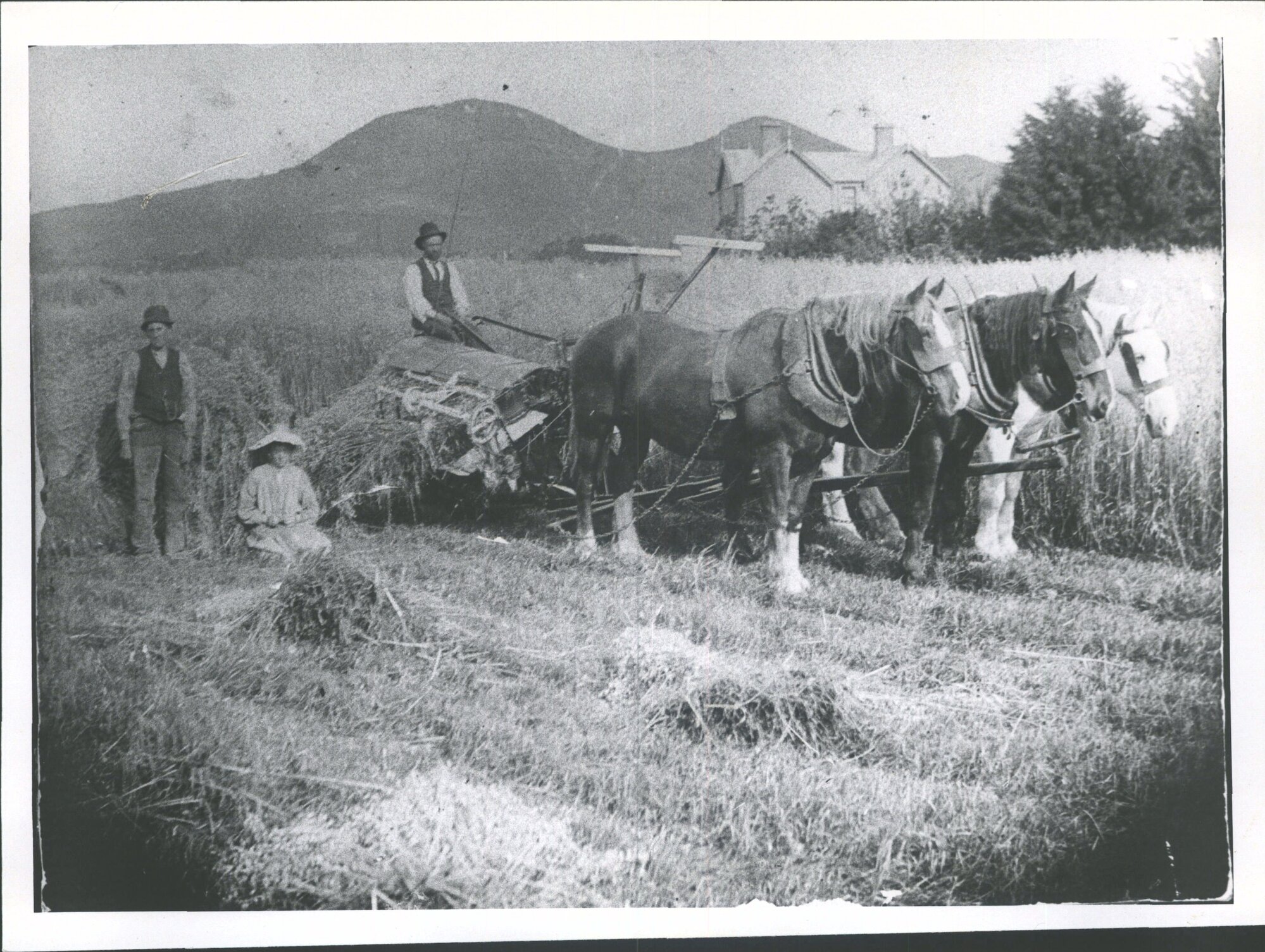 Bush Road - Melville Park