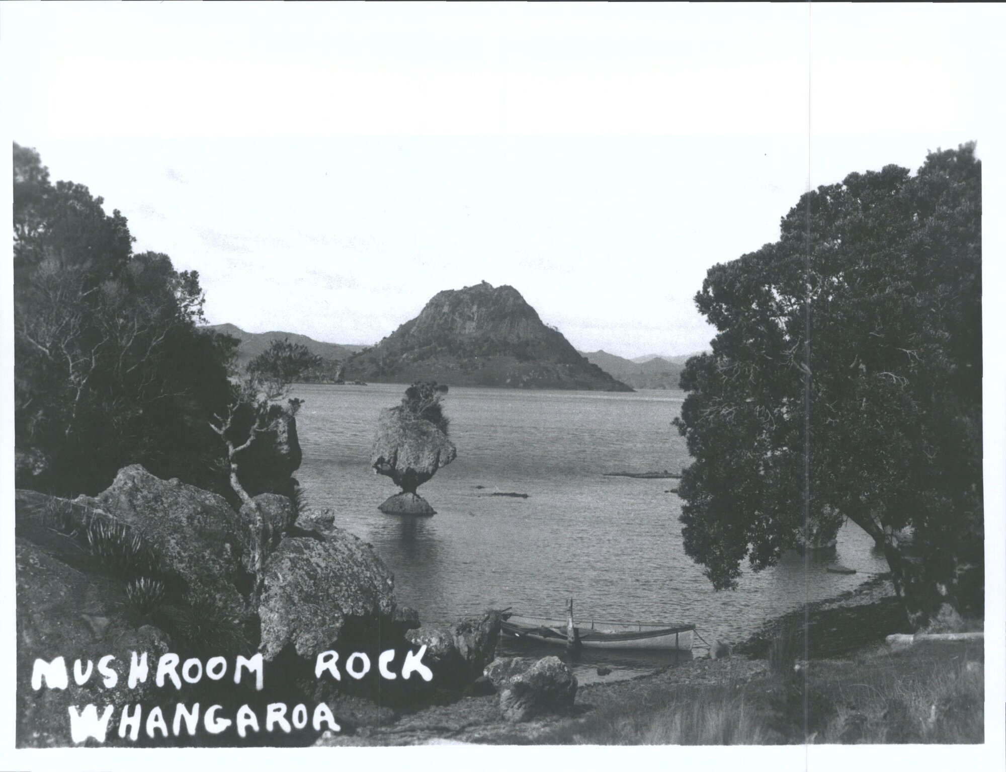 Mushroom Rock, Whangaroa