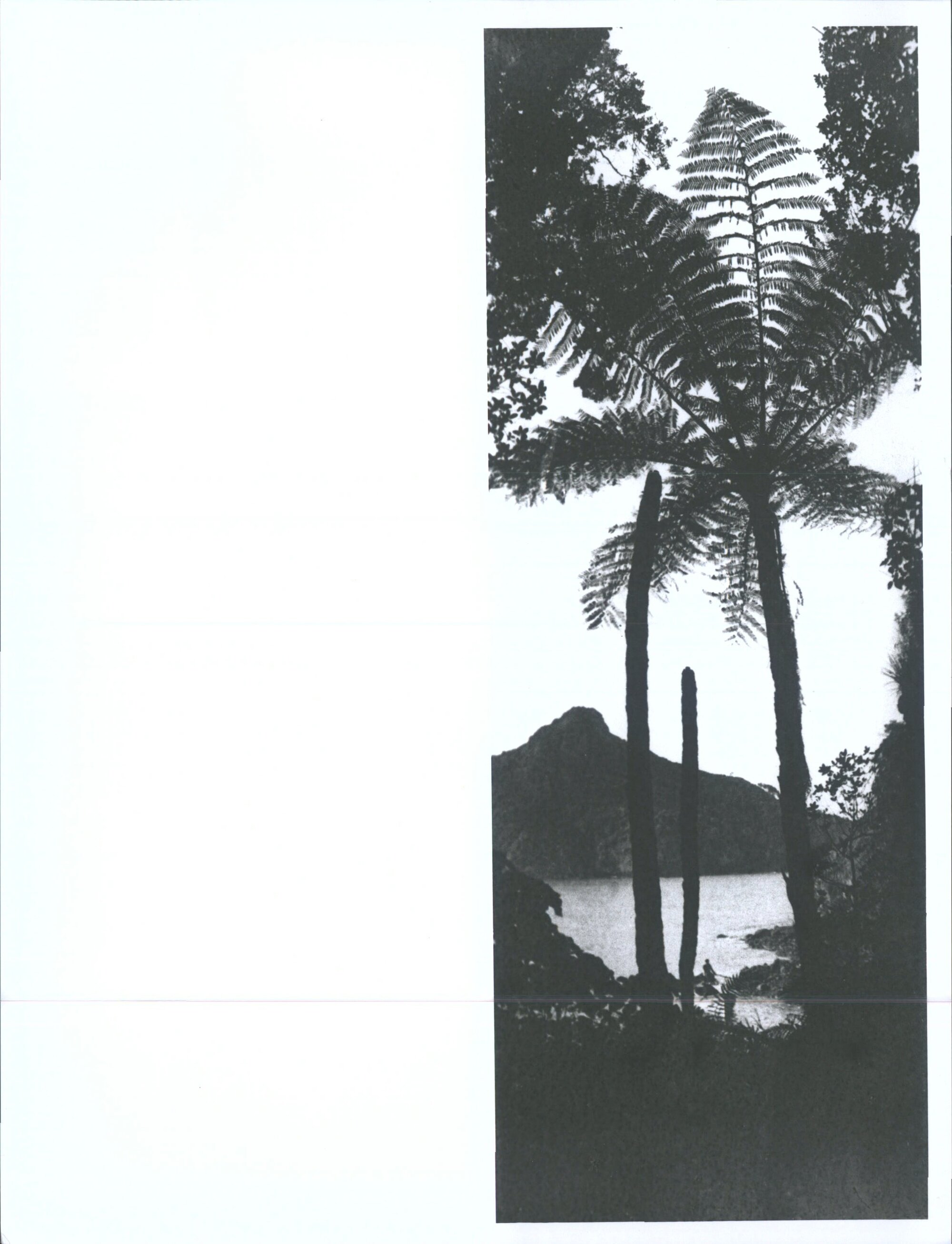 View of harbour from trees