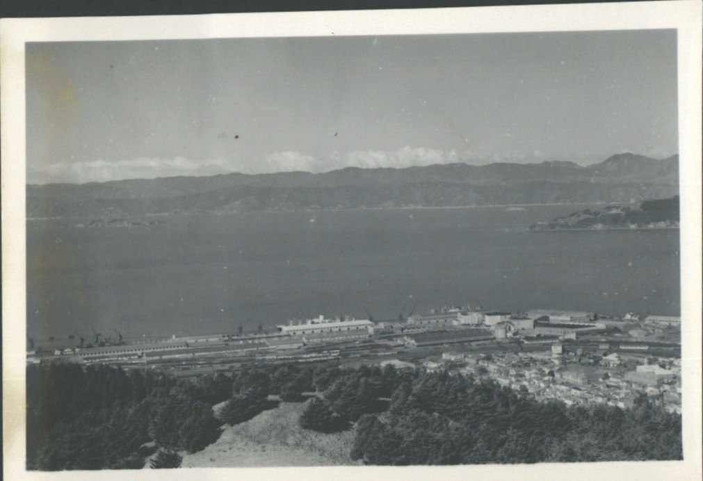 Wellington Shipping
