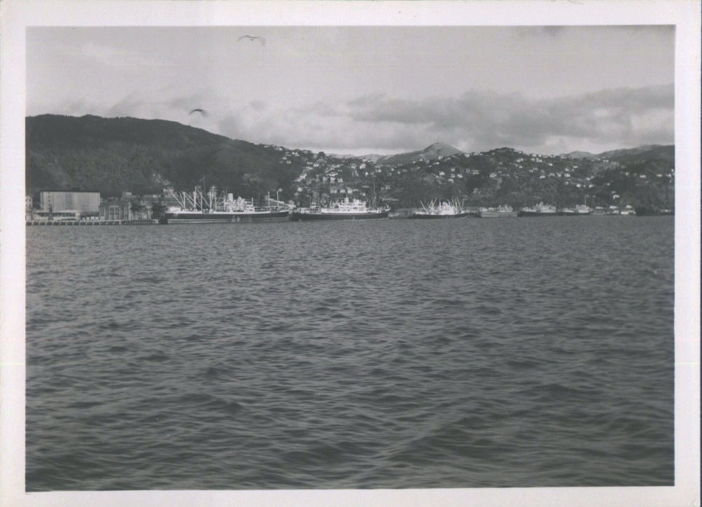 Wellington Shipping