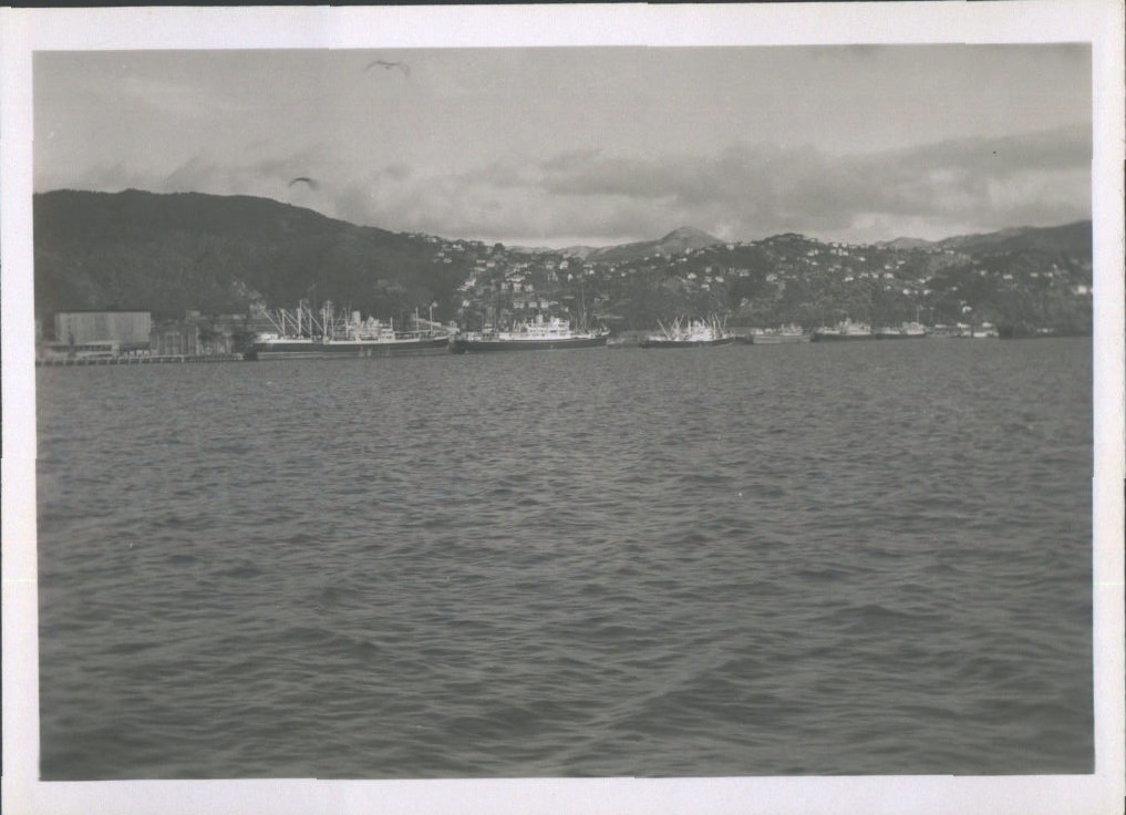 Wellington Shipping