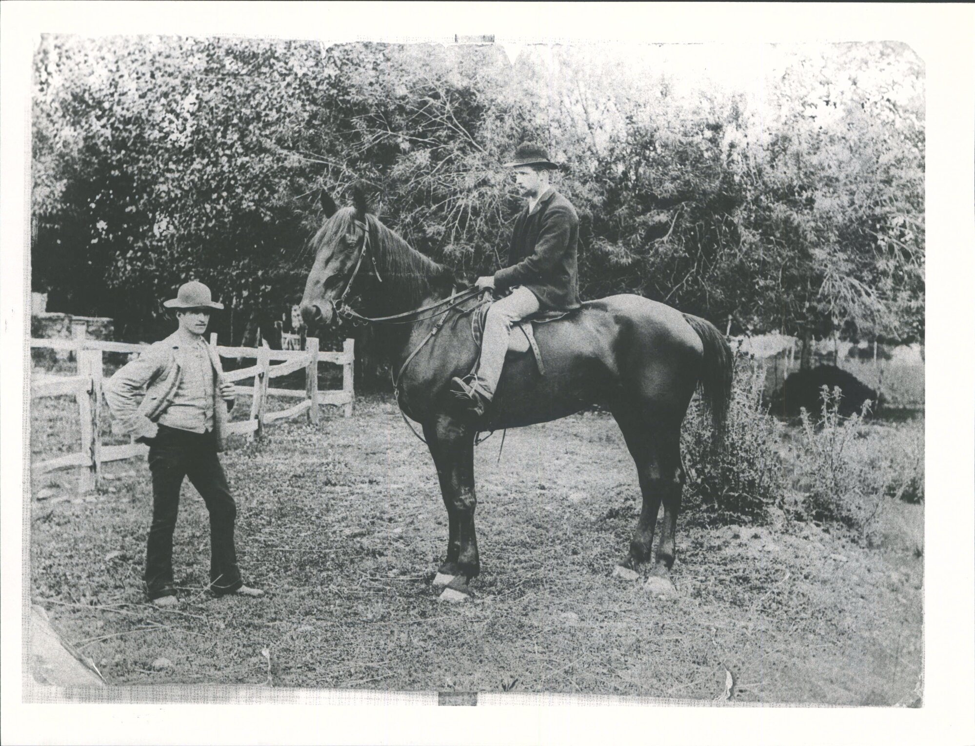 BECK, T. P. on Dagma