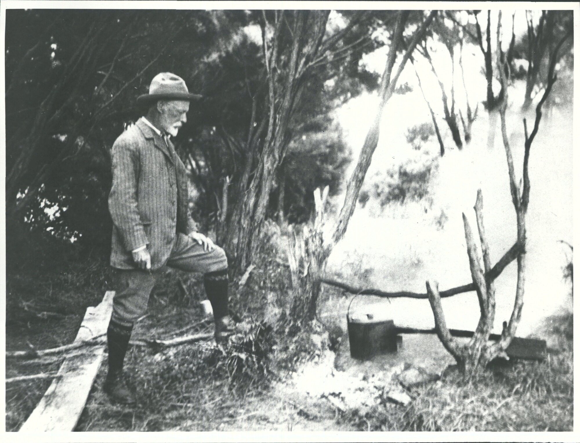 Dr Leonard Cockayne