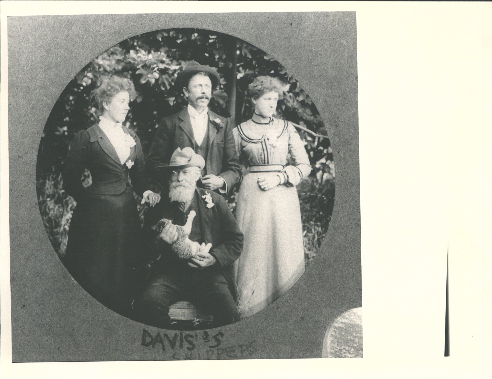 DAVIS family, Skippers