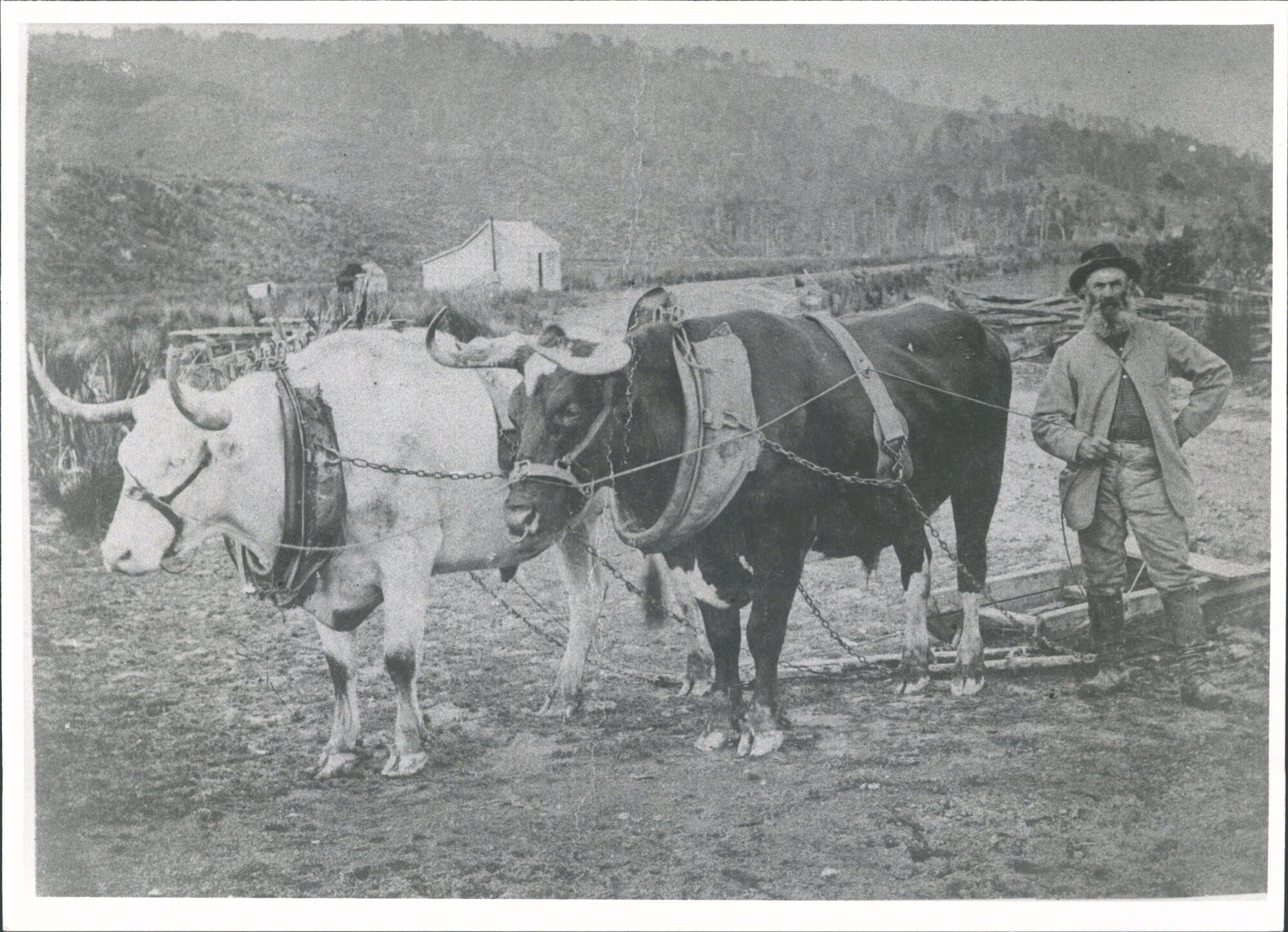 DUTTON, John