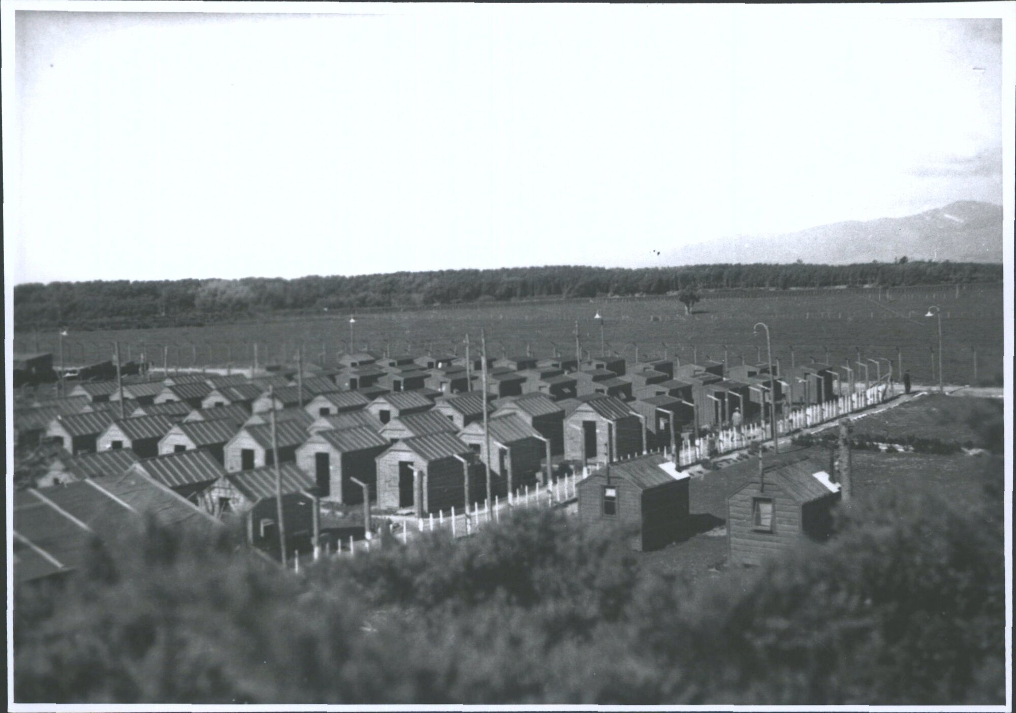 Shannon Camp