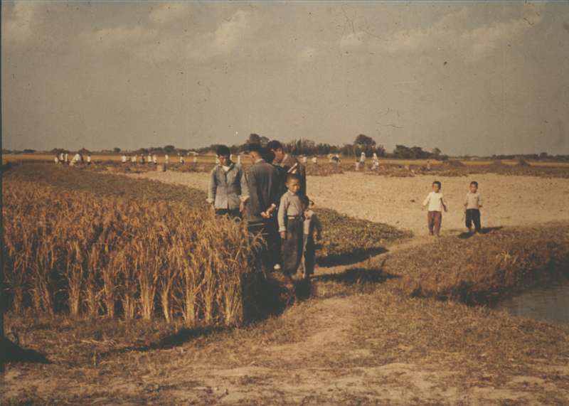 "Red star rice co-op Shangai"