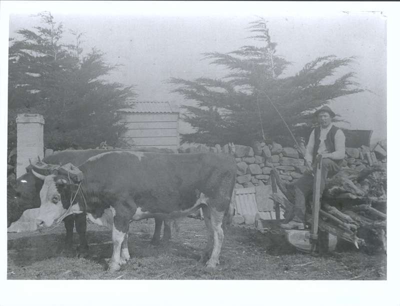 Millar, Jim