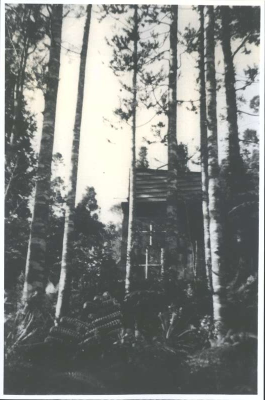 McCahon, Colin &amp; Anne residence