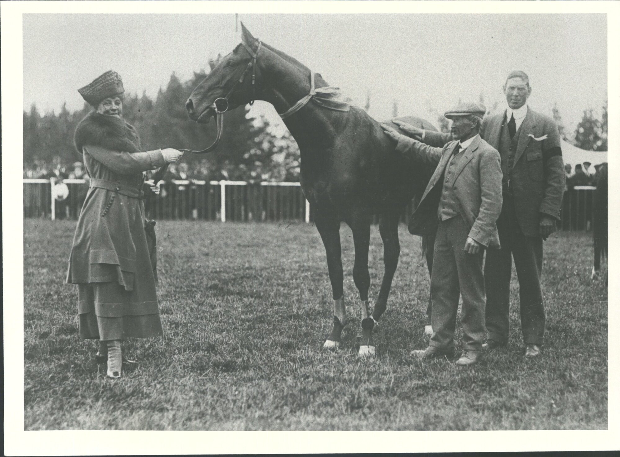 with horse and owners