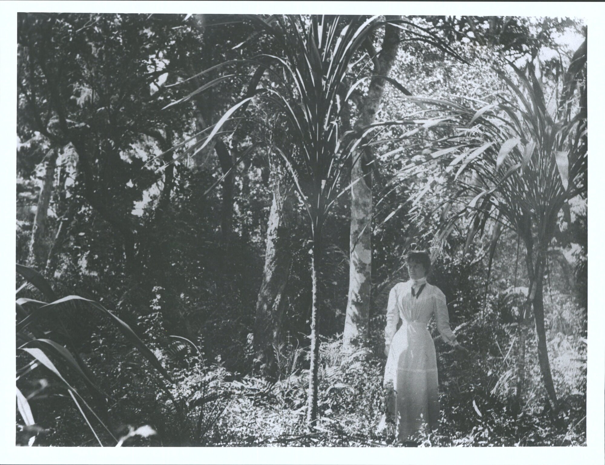 At Ulva, Stewart Island