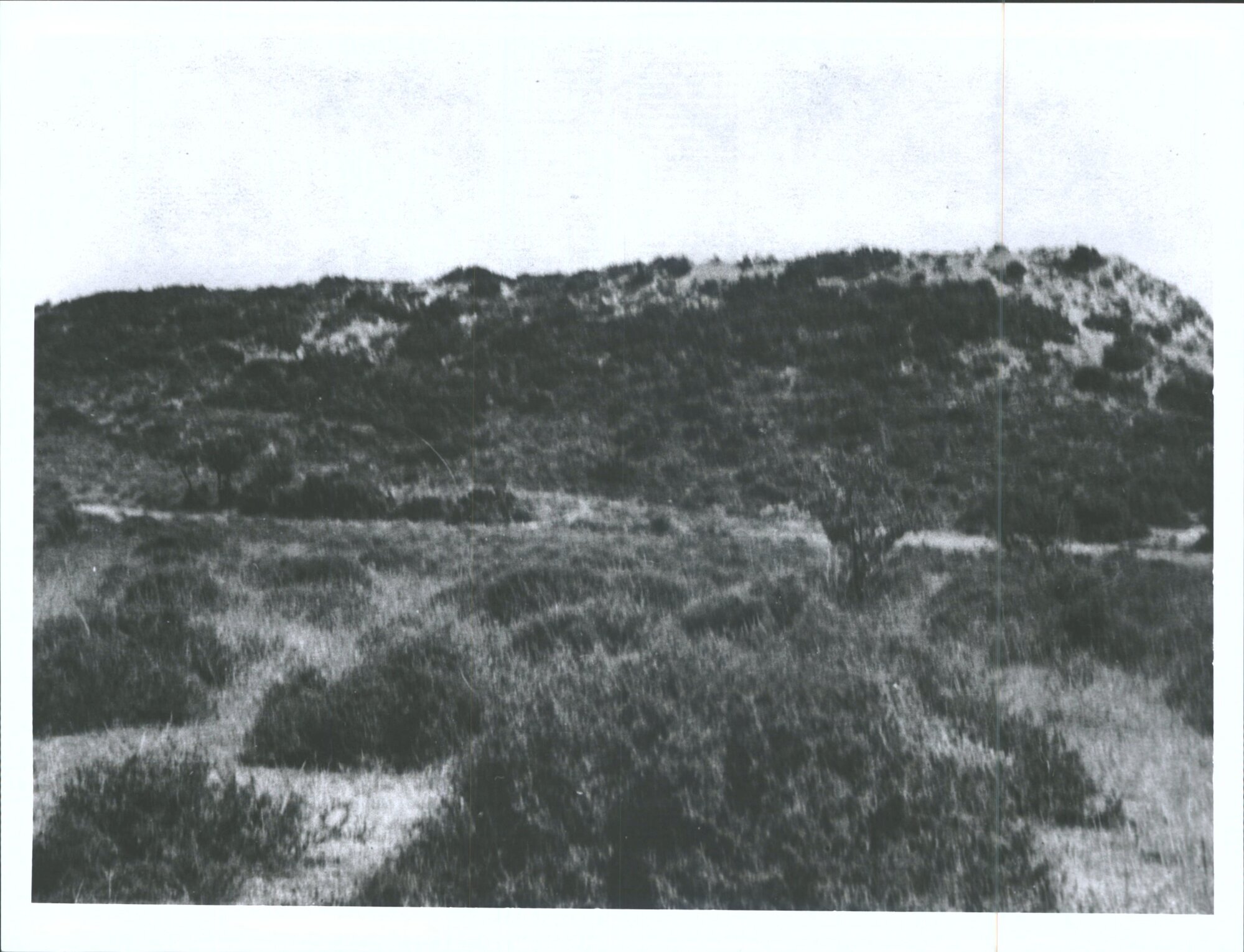 On the left of No. 2 from the sea