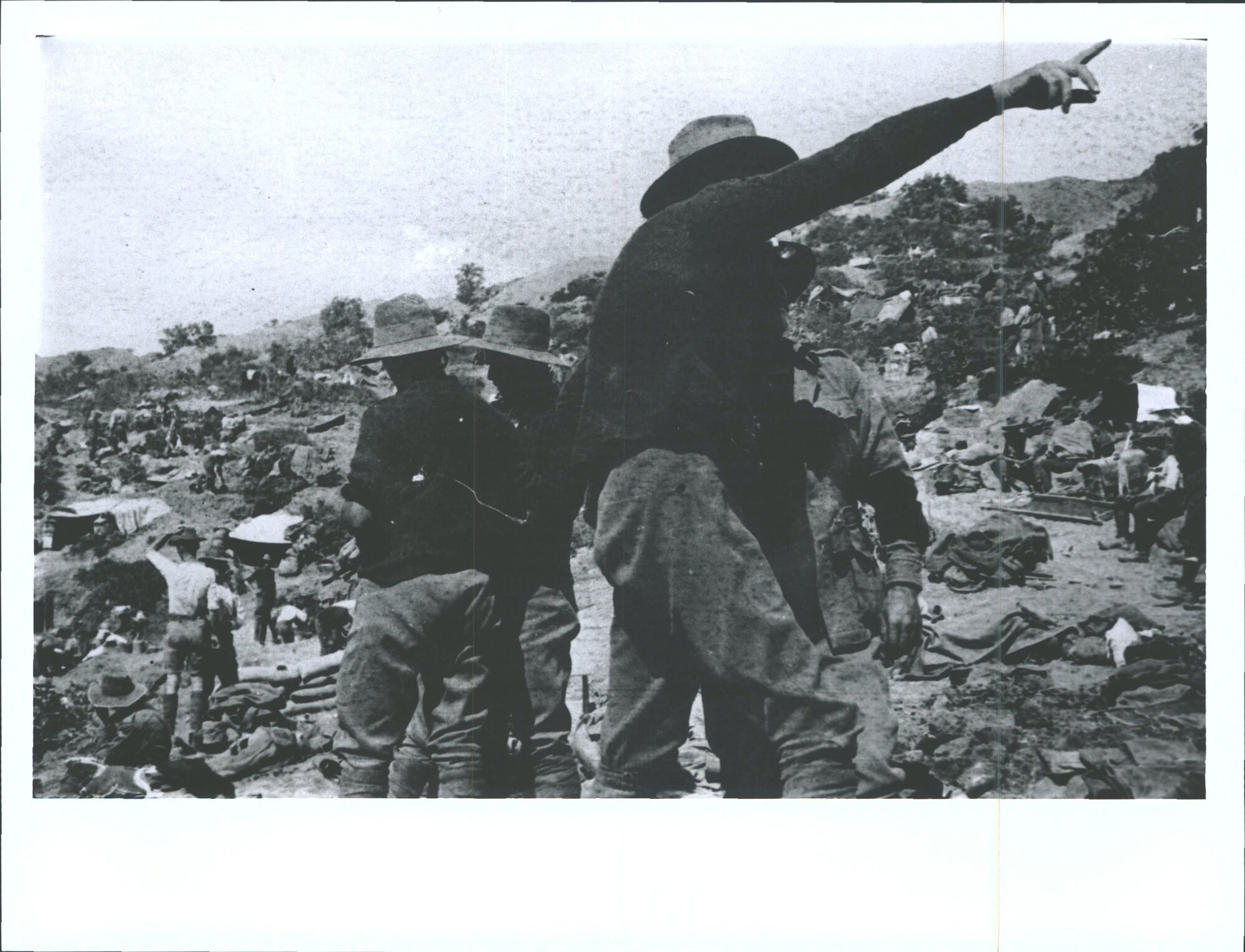 "Australian on Cheshire Ridge"