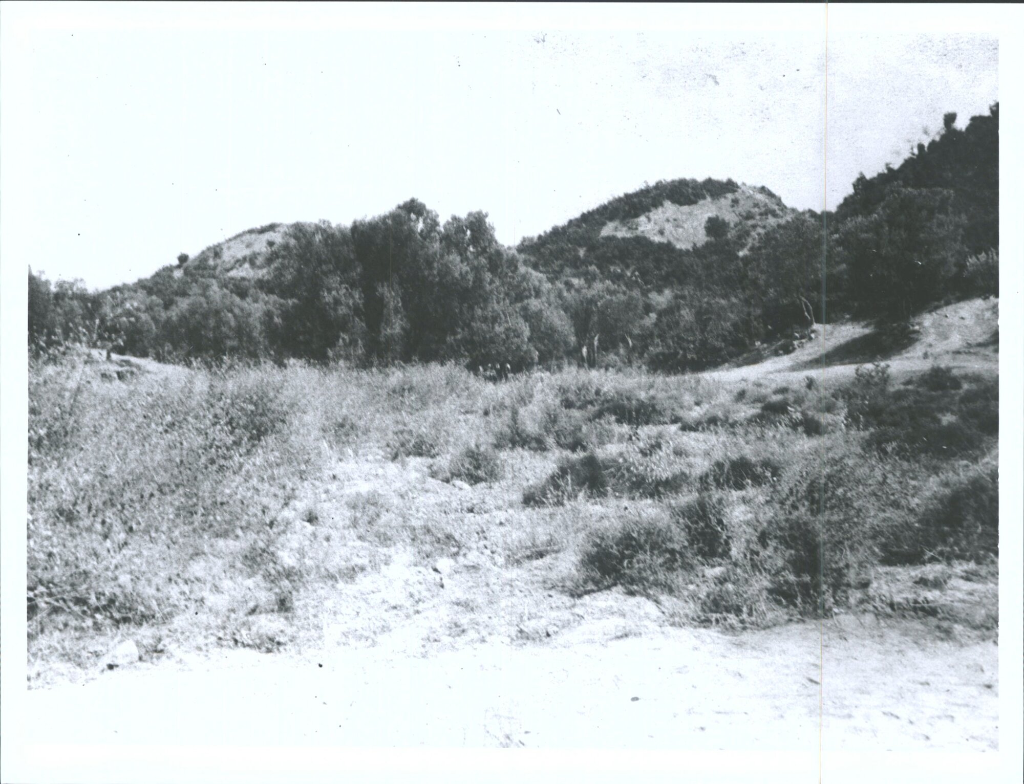 On the left of No. 2