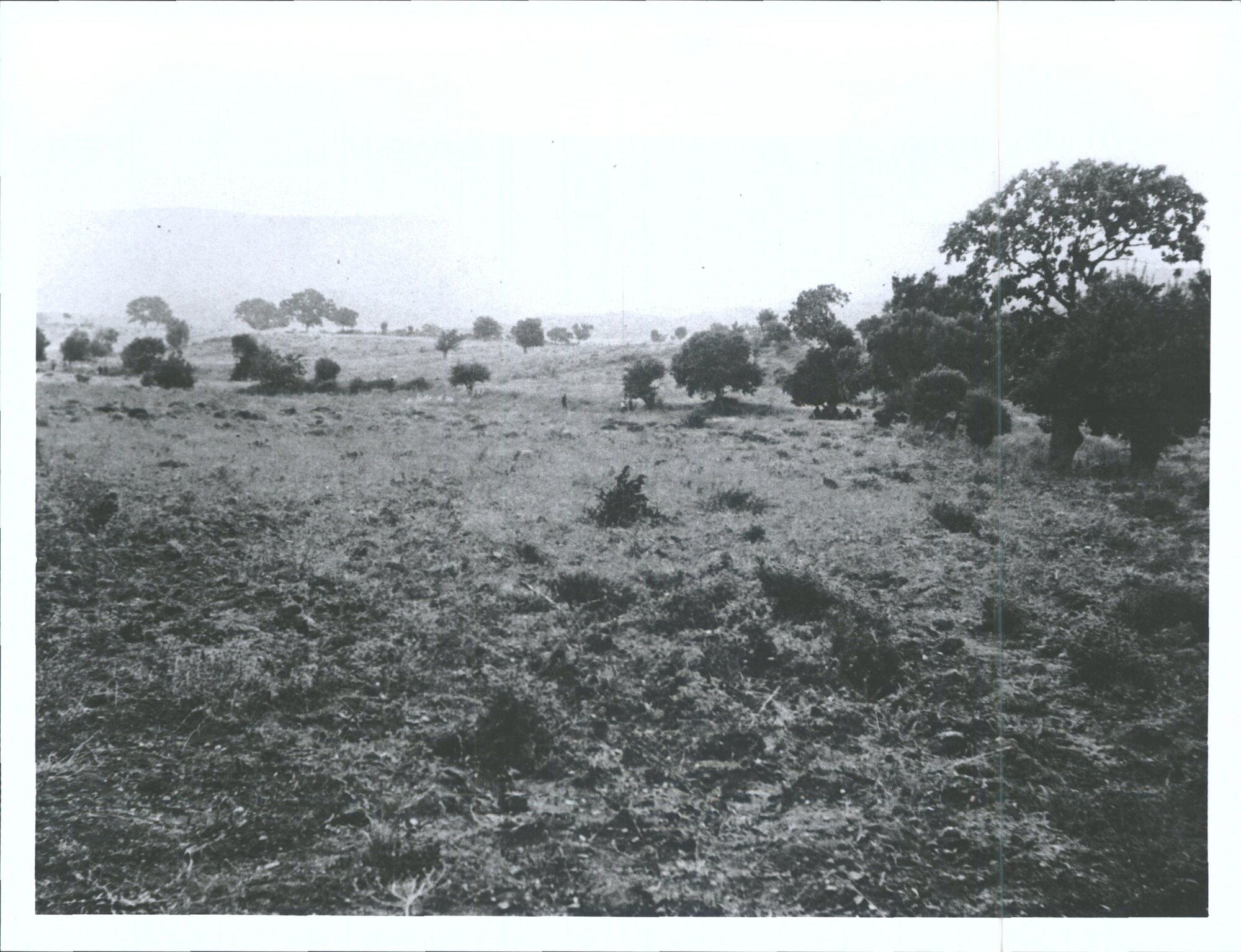 "In from Scott Lake"