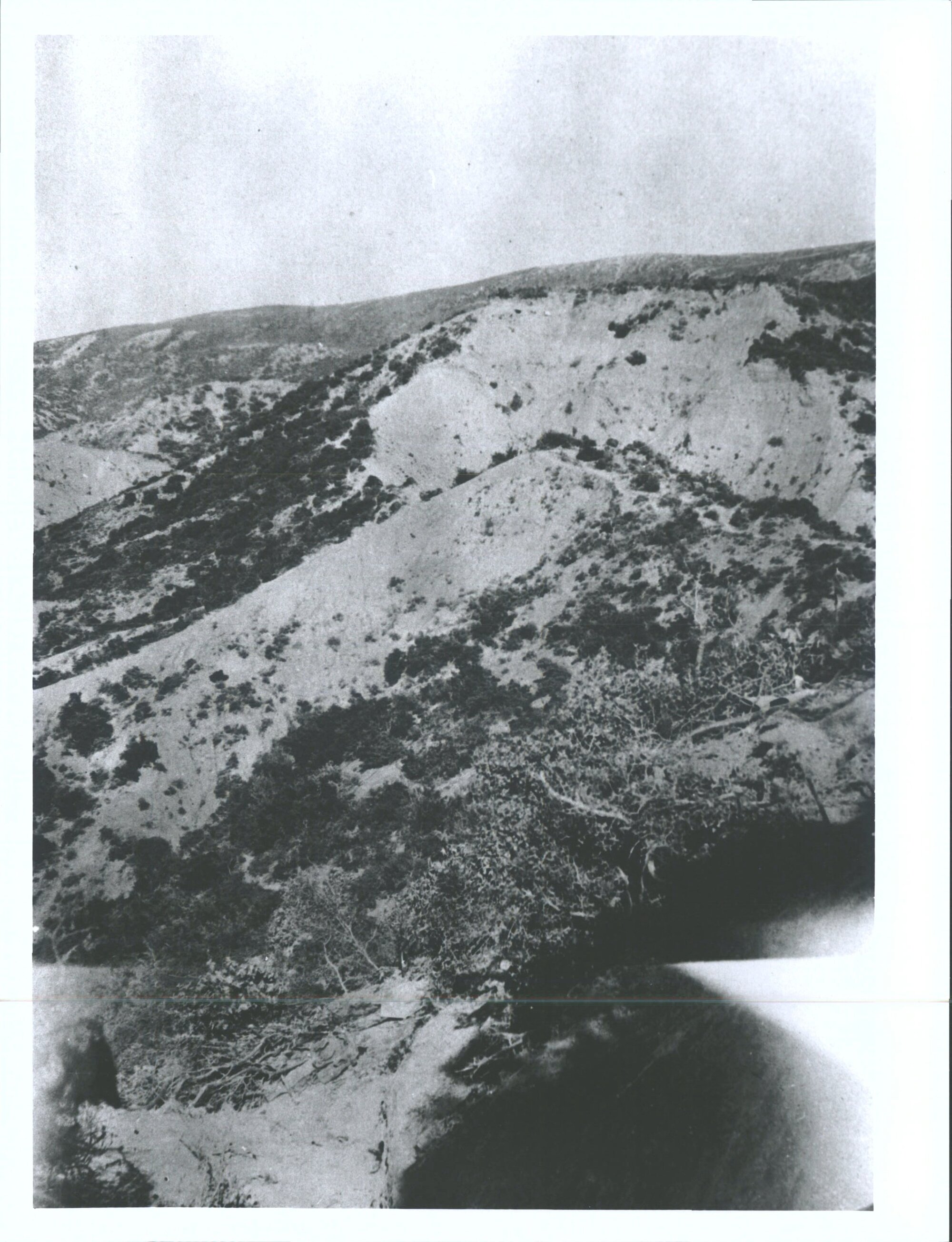 "Big Table Top" from old no.8