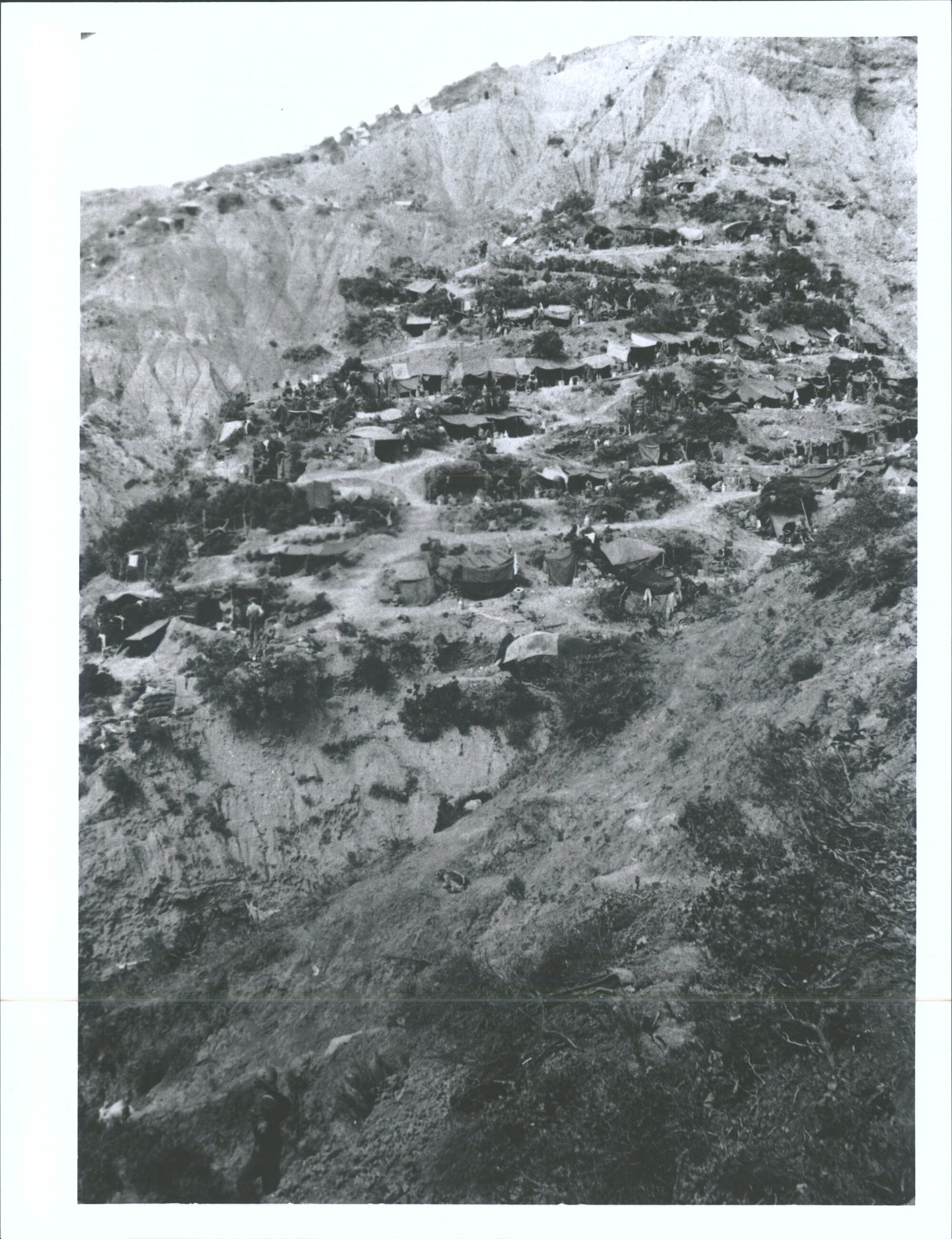 "Wellington Terrace"