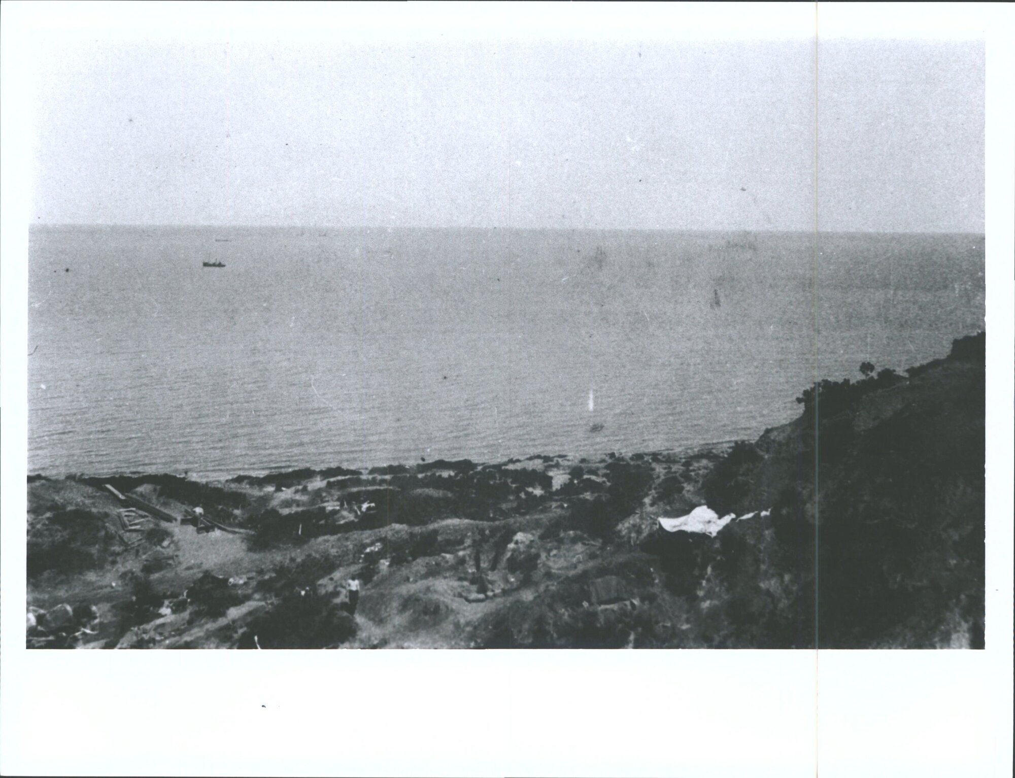 "Looking out to sea"