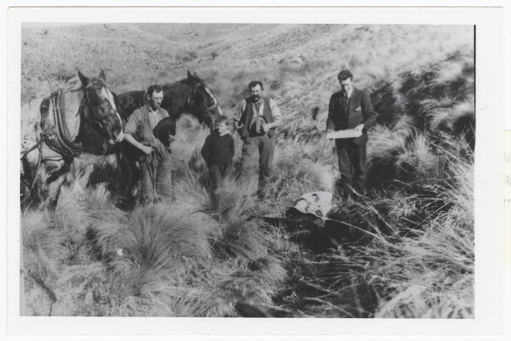 Burial of Old Joe, the Nevis Hotel proprietor's horse