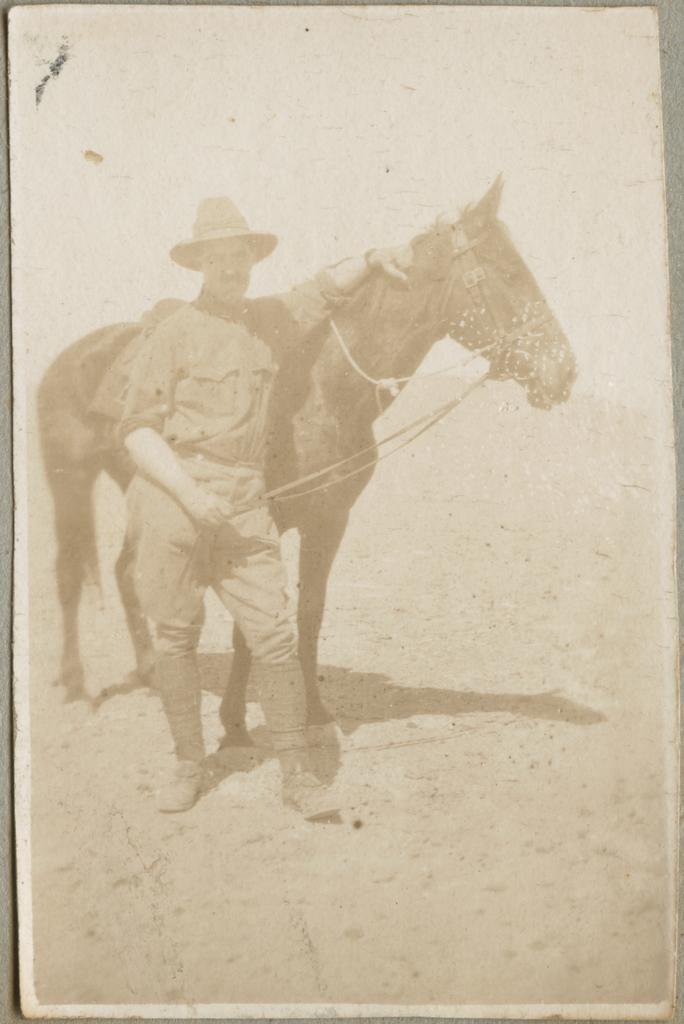 Soldier and horse