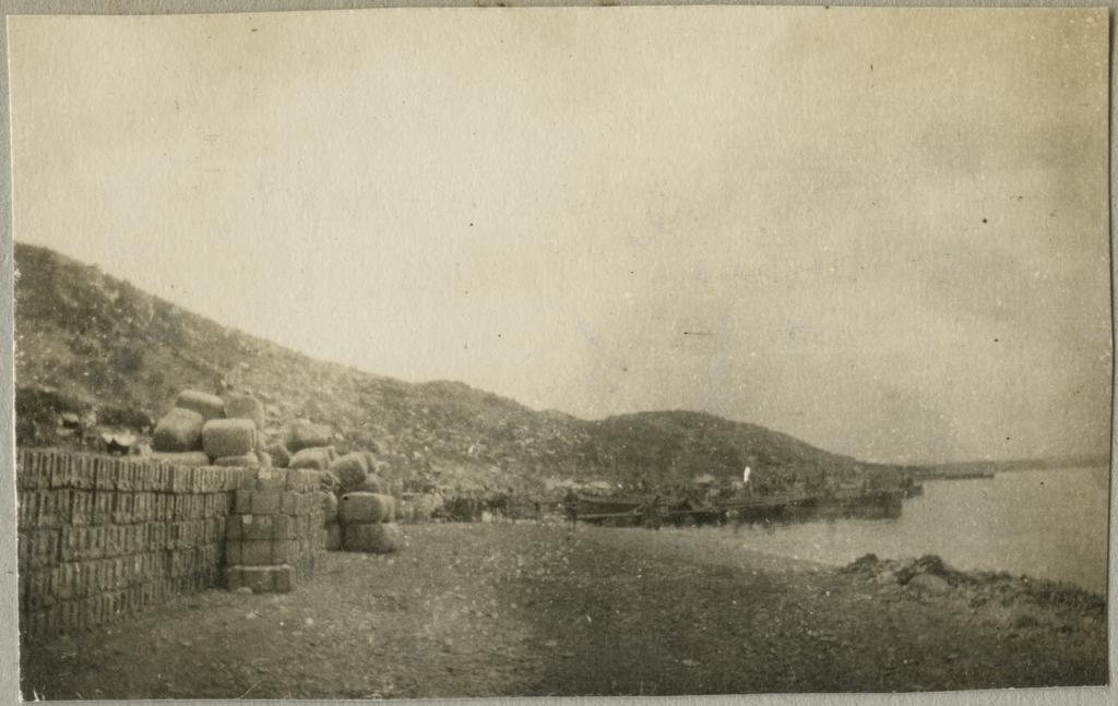 Shore scene