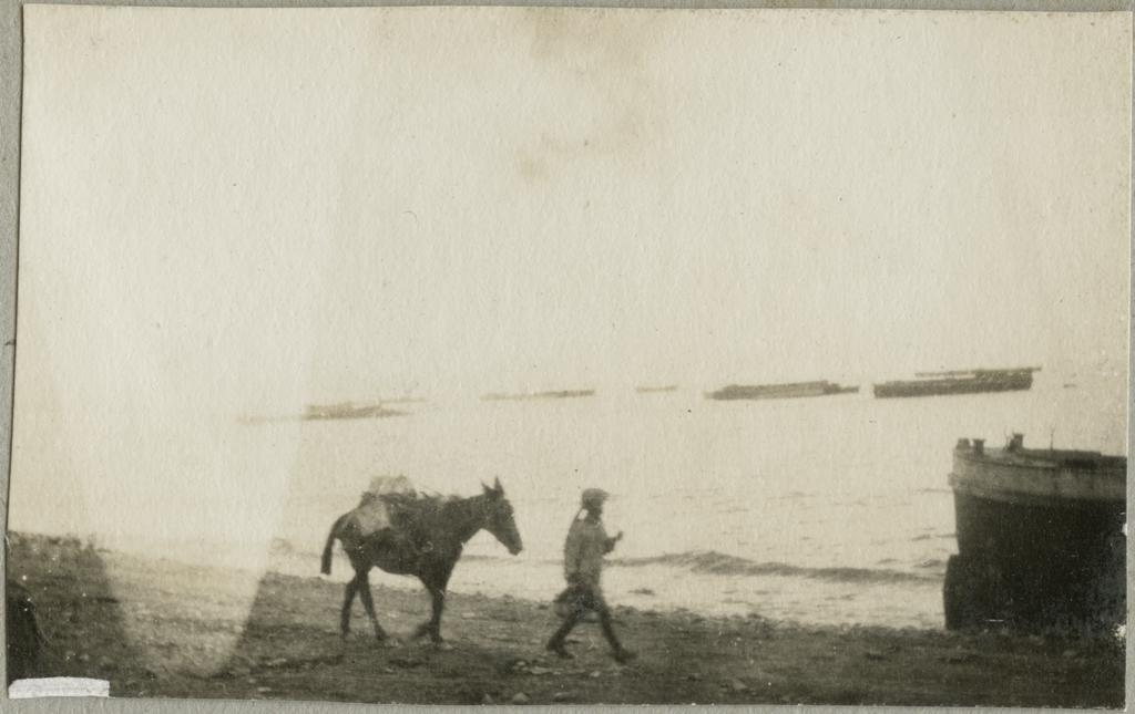 Shore scene