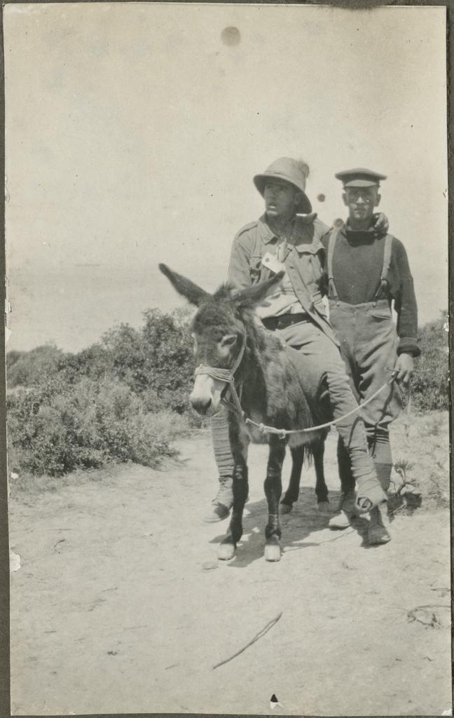 Richard Henderson with a wounded soldier on Murphy the donkey at Gallipoli