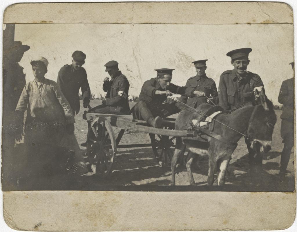 'The start for the trotting cup. In this case it was no start'