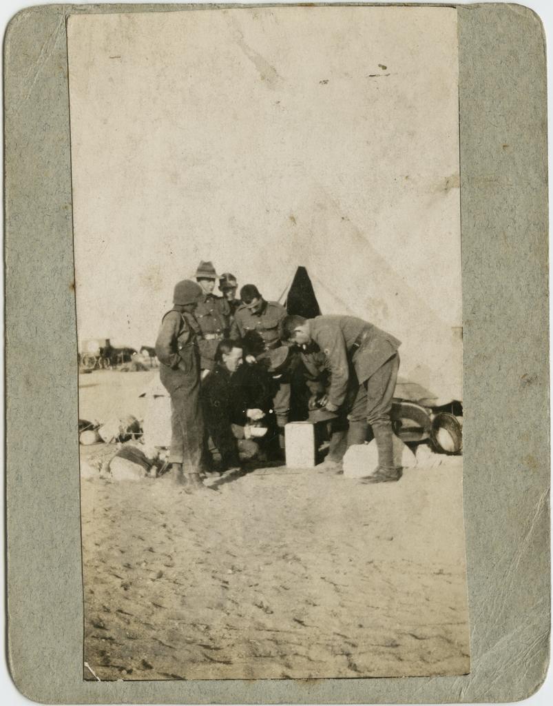 'Buying tomatoes in Egypt. We bought some. Very nice &amp; very cheap'