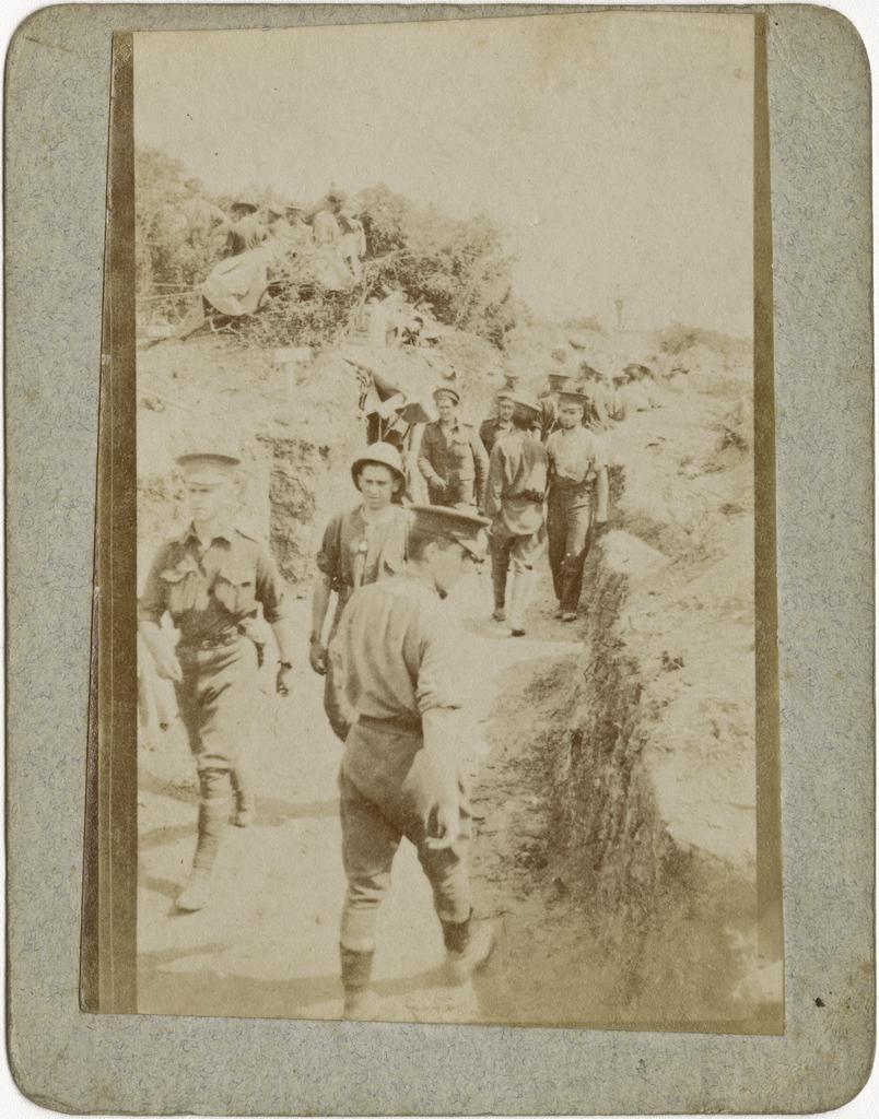 Communications Sap leading to Quinn Steels &amp; [Courtneys] Posts