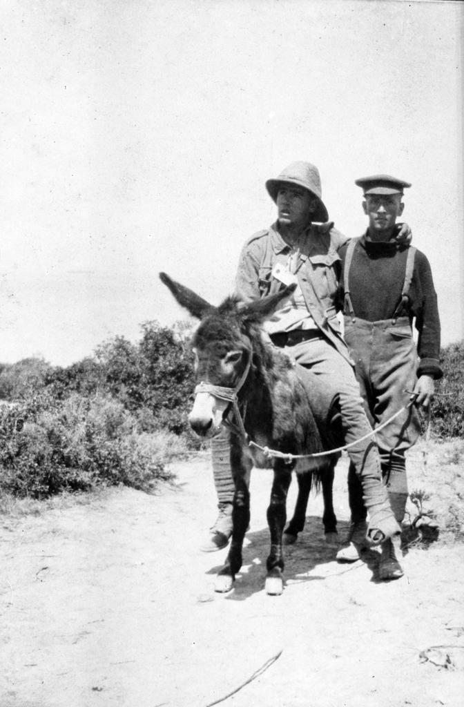 Richard Henderson with a wounded soldier on Murphy the donkey at Gallipoli