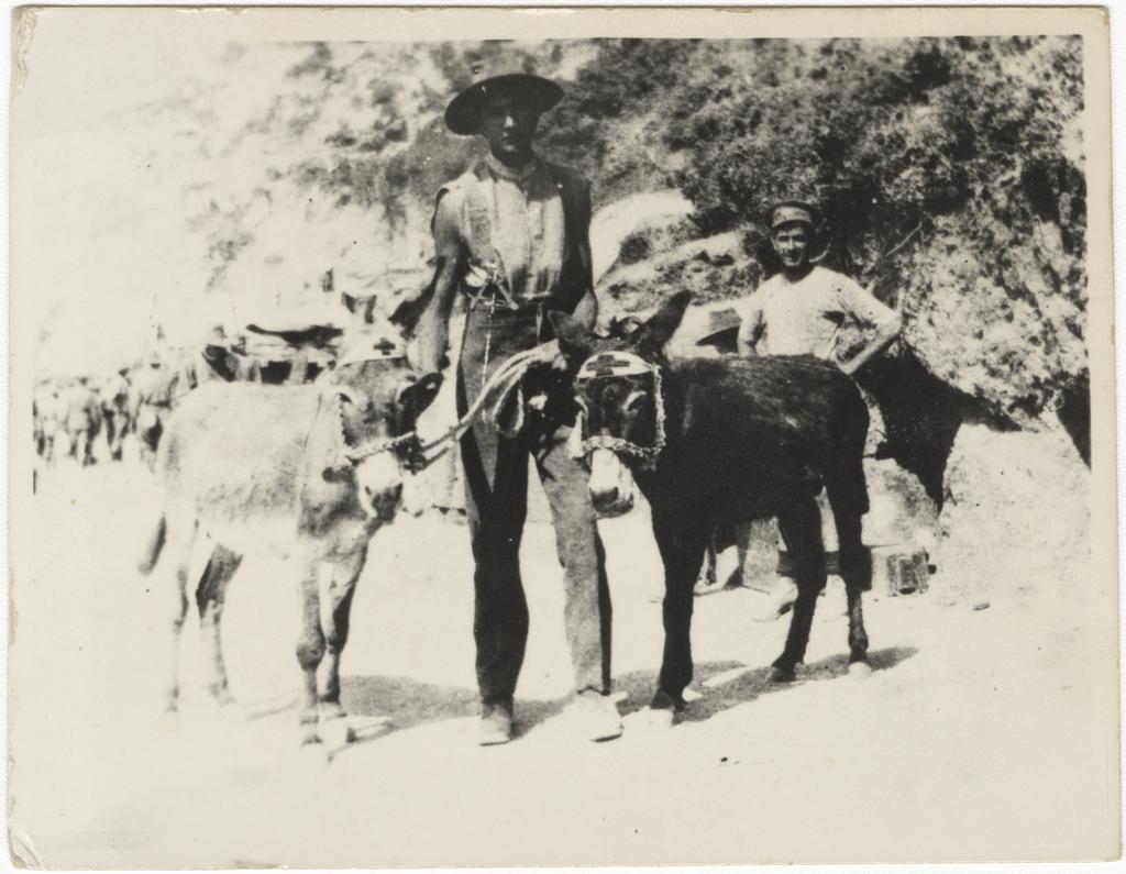 Soldier with donkeys