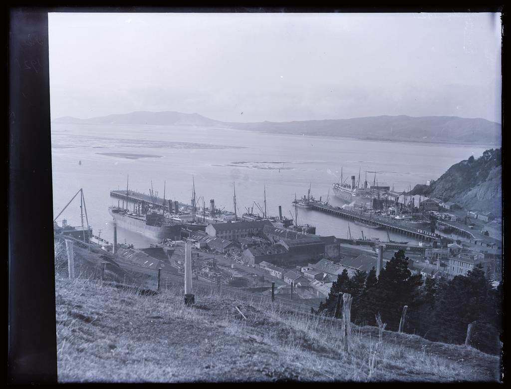 View over Port Chalmers wharves
