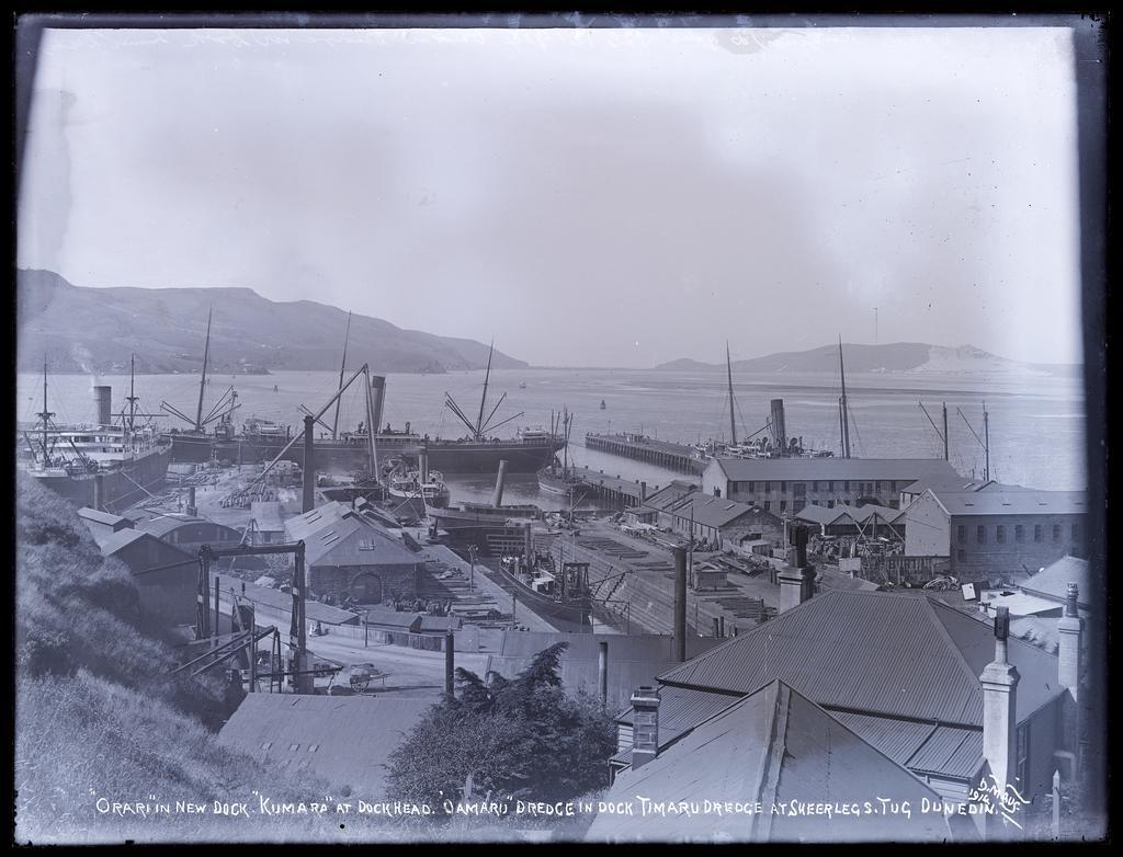 Port Chalmers view, 'Orari' in new dock. 'Kumara' at dockhead. 'Oamaru' dredge in dock. 'Timaru' dredge at sheerlegs. Tug Dunedin