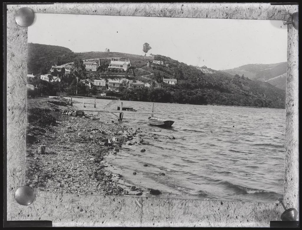 Hillside, houses, and shore at Lake Logan