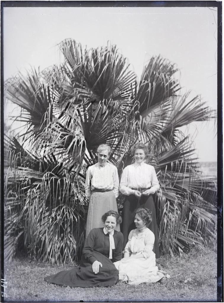 Group of four in front of palm tree