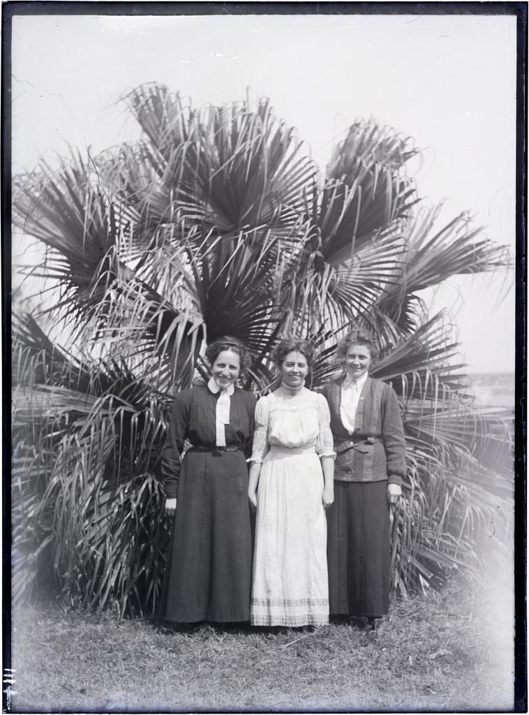 Annie James, Annie McEwan, Annie Hancock, and palm tree