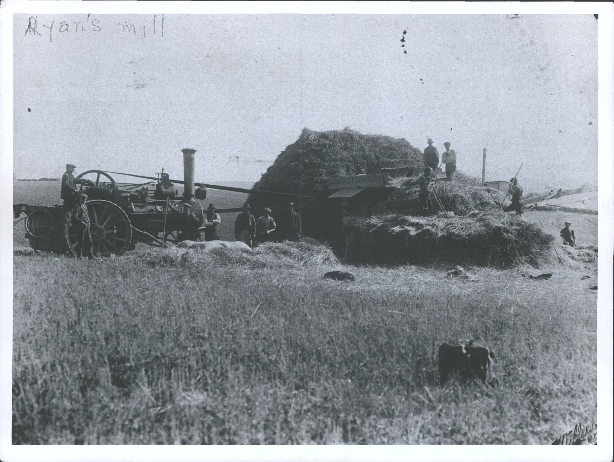Ryan's threshing mill, Waitahuna district