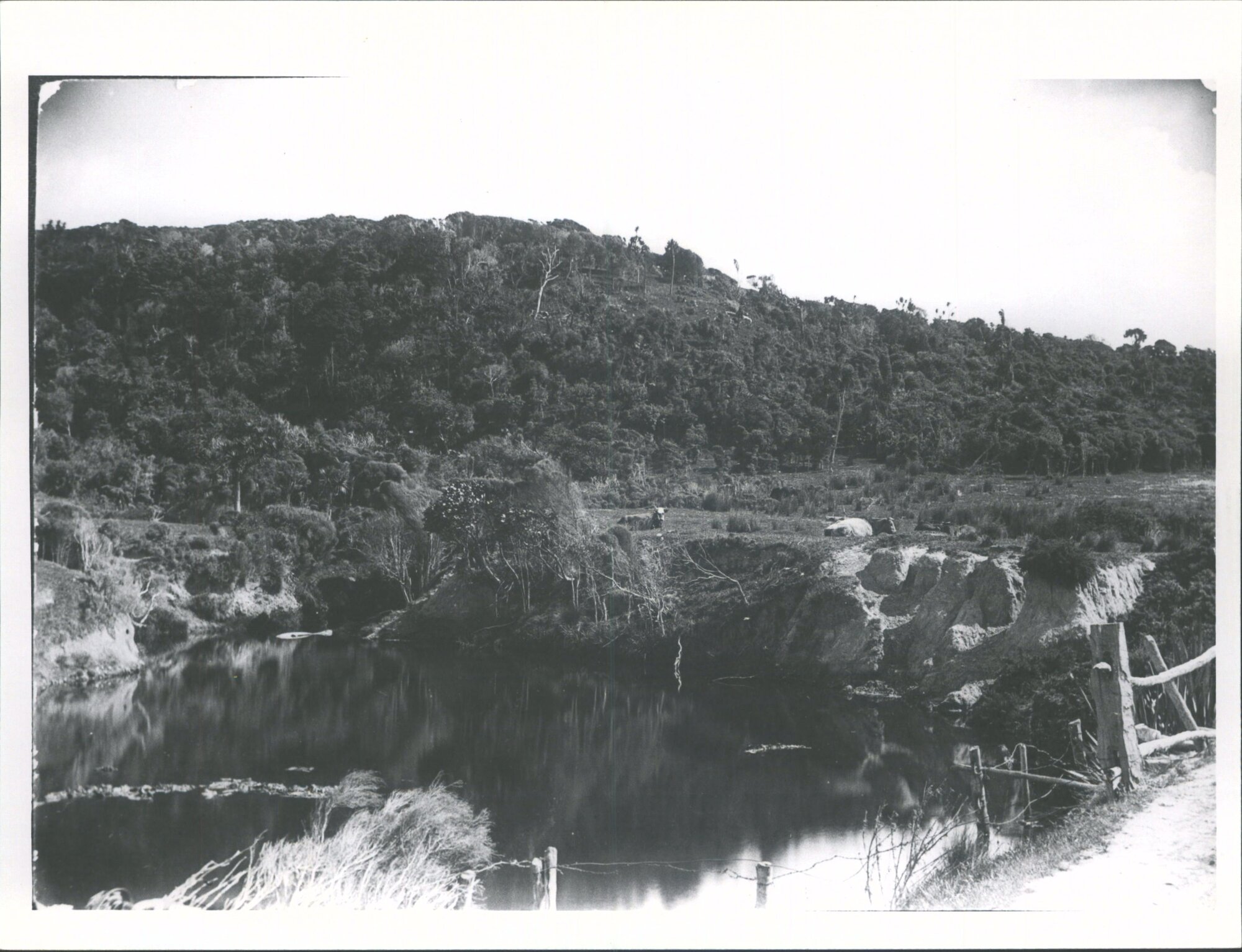 Unidentified farmland