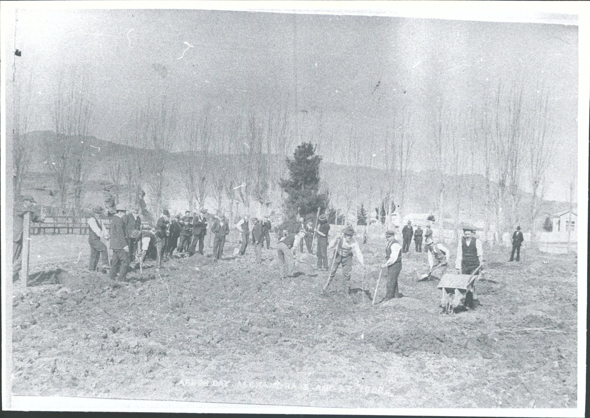 Arbour Day, Alexandra