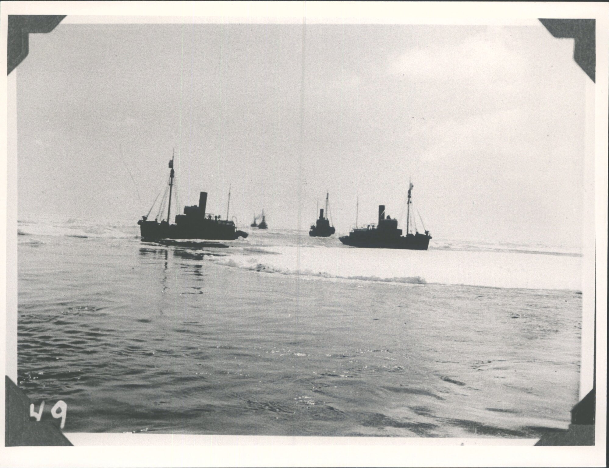 Whale Chasers in thicker pack ice