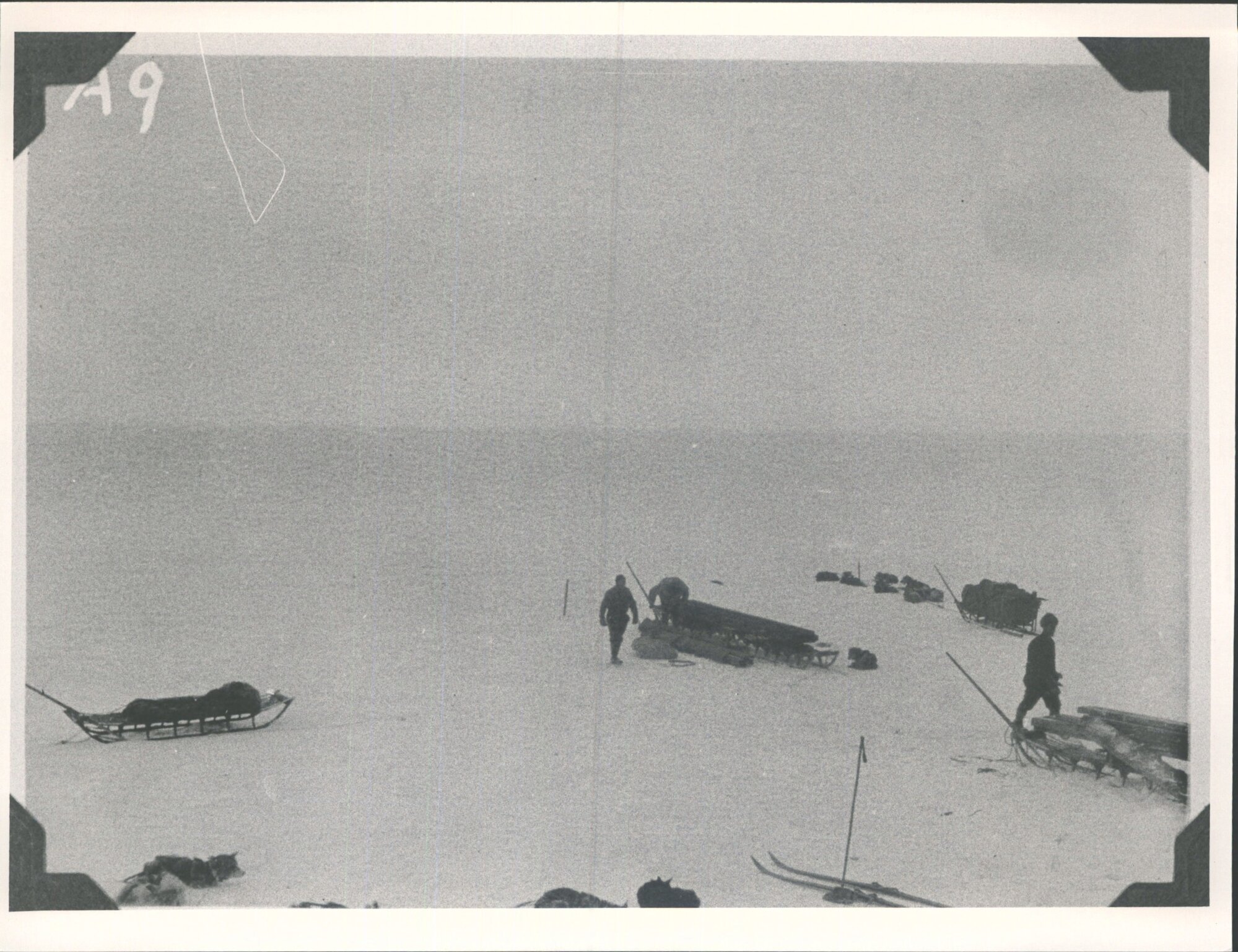 Sledges for Ex. Base, Little America