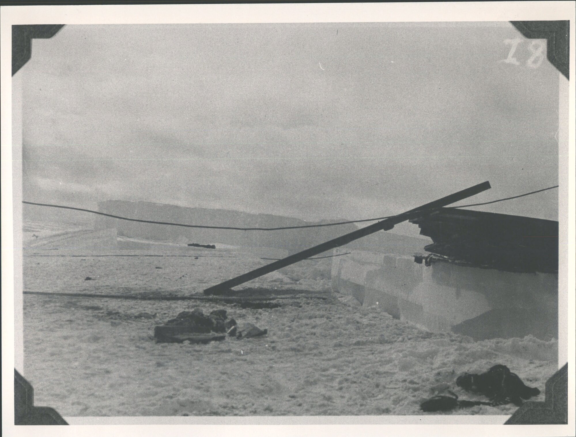 At the Bay of Whales