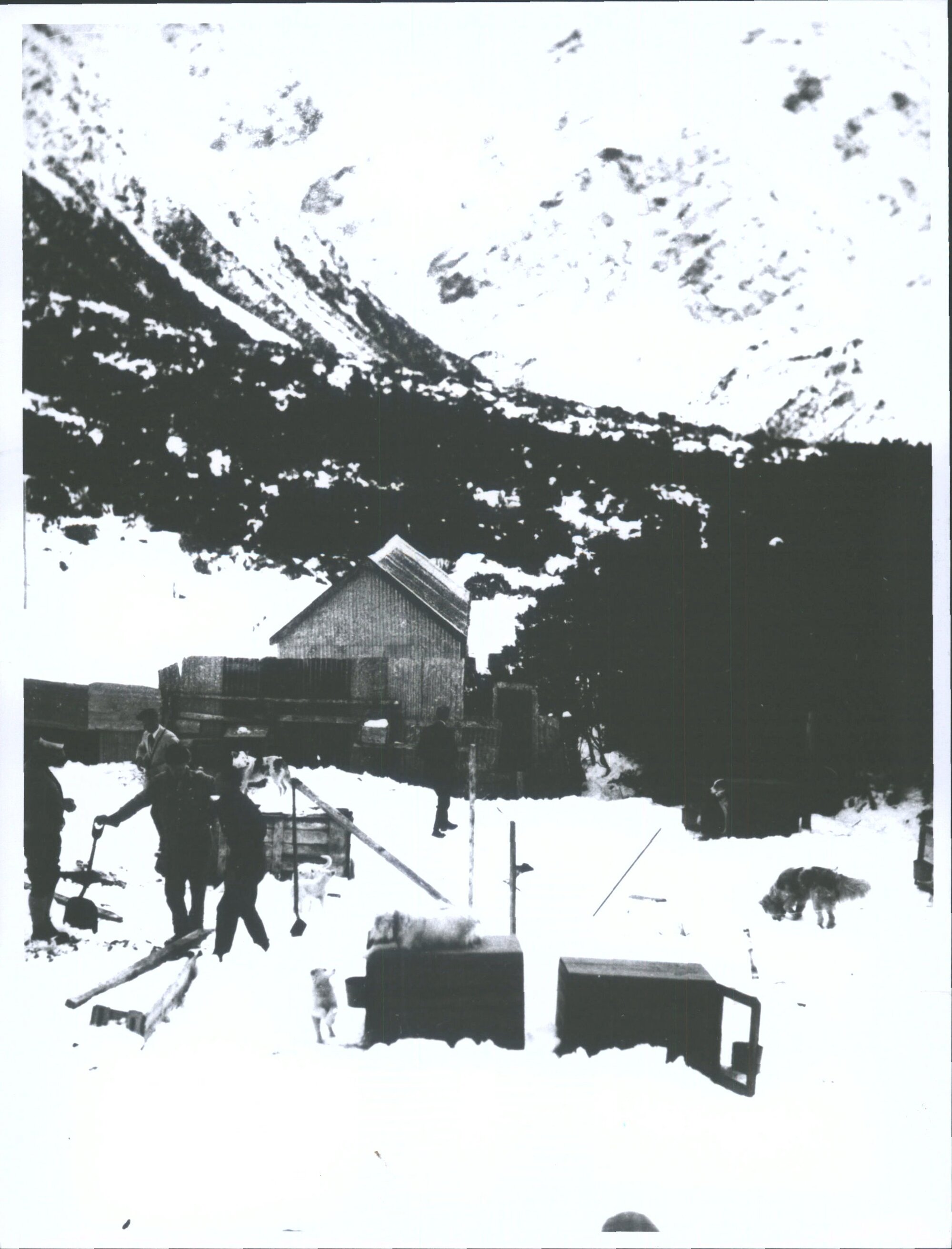 shoveling snow by the dog kennels